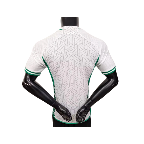 maillot Concept Vert version Player 2023 2024