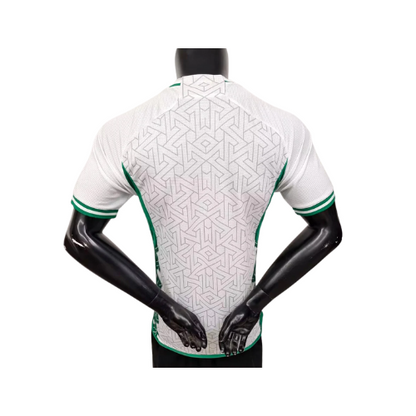 maillot Concept Vert version Player 2023 2024
