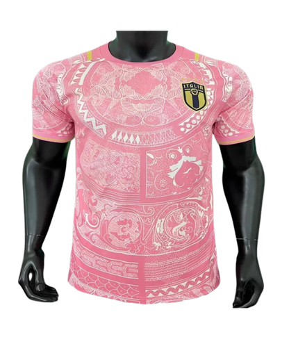 Italie Concept version Player Rose 2023/2024